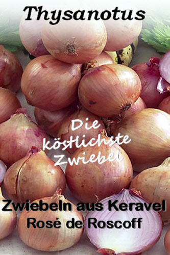 erste knstliche weihnachtsbaum Knstlicher Weihnachtsbaum mit natrlichem Look  210 cm