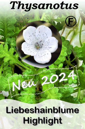 Wilkommen beim ThysanotusVersand